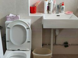 Blk 439 Hougang Avenue 8 (Hougang), HDB 3 Rooms #481046531